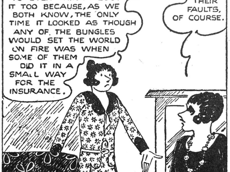 The Bungles Are Us
