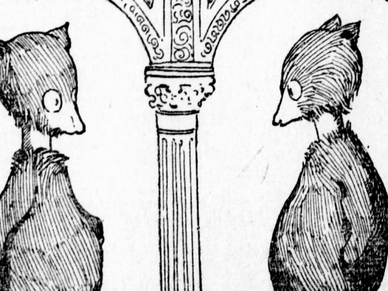 The Little Bears: Paws and Personality Germinate a New Medium